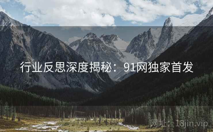 行业反思深度揭秘：91网独家首发
